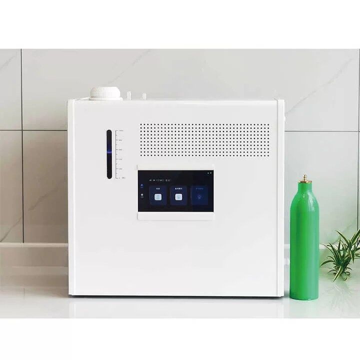 Hydrogen Electrolyzer 1